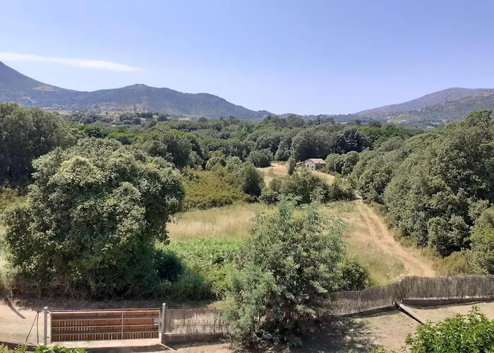 Charmante Maisonnette Situe Au Calme Proche D\'Ajaccio.